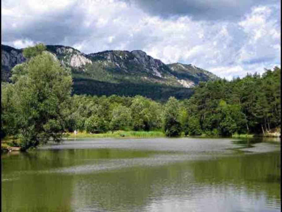 Greolieres: Superbe Studio Avec Vue Montagne Extérieur photo